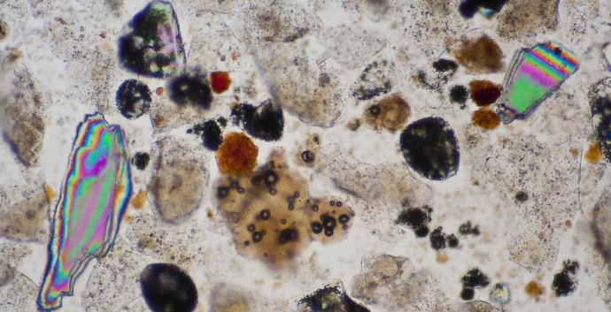 这种大麦麦芽乳饮料在显微镜下看起来比平时更复杂,漂亮也许吸引力更