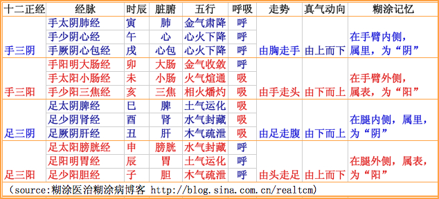 经络走势和类型经络旁通4