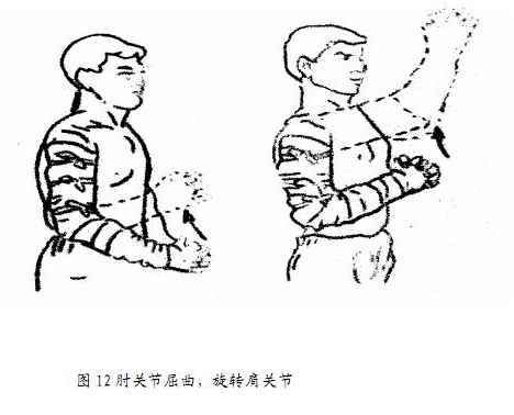肩袖损伤锻炼图示图片