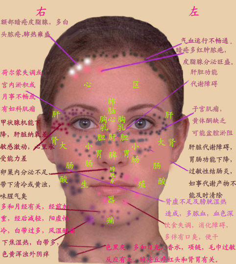 人体穴位大挂图