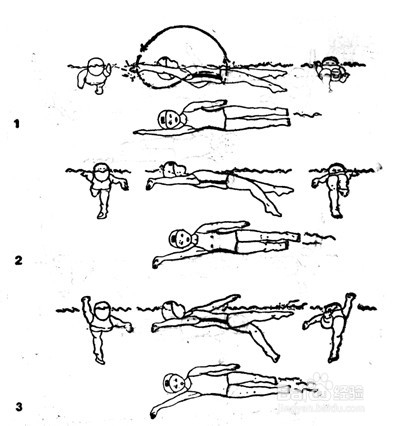 仰泳技巧學習圖解