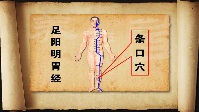 長壽指中求2肩關節疾病同名經取穴法調理脾胃神經衰