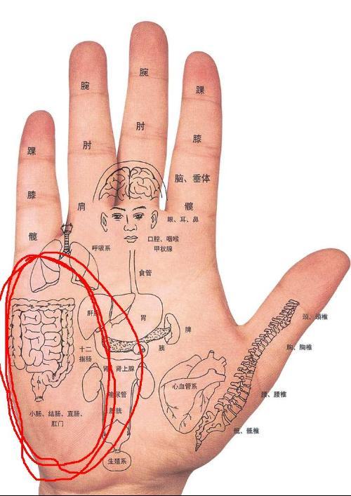 手指长痣的位置示意图图片