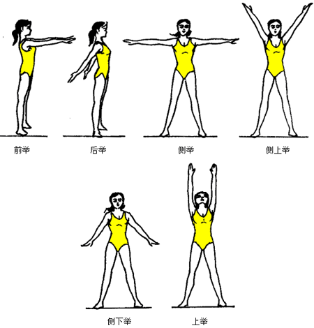 竞技健美技巧动作图解图片