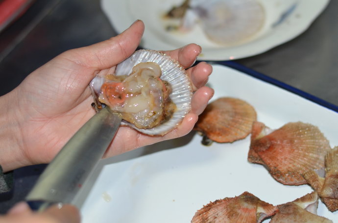 五星级家常菜蒜蓉粉丝烤扇贝图