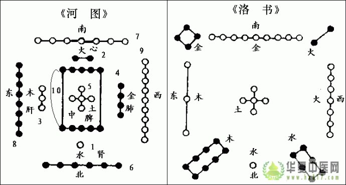河图说人体
