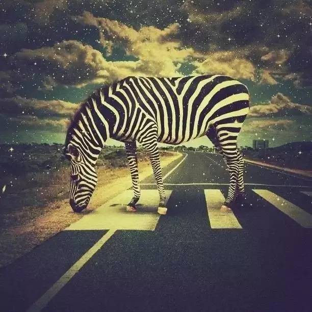 创意图片 | 脑洞大开!看看人家这才叫真正的p图