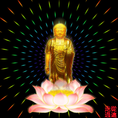 佛动态电脑壁纸大全图片大全下载