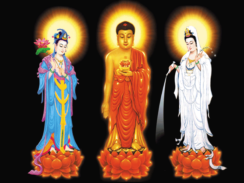 佛动态电脑壁纸大全图片大全下载