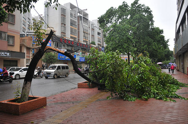 北京发布大风黄色预警风中开车停车需谨慎