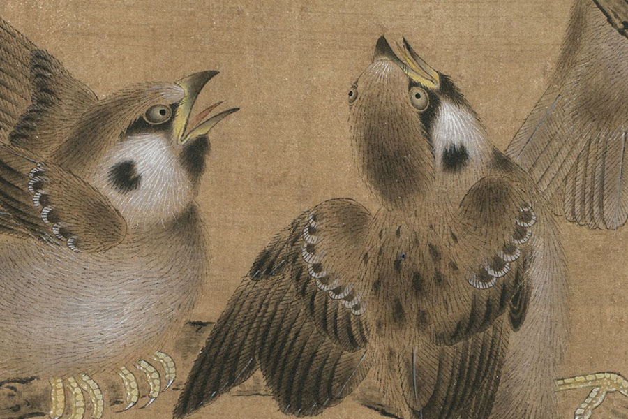 国画技法宋画杨柳乳雀图临摹步骤