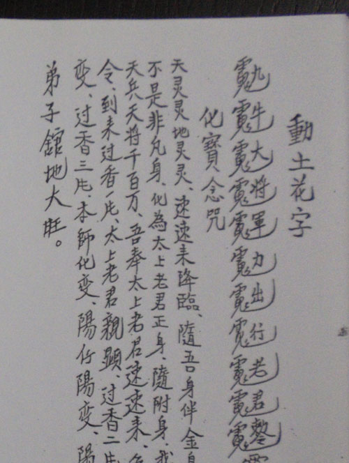 讳令符胆花字帝徽金字