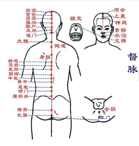 任督二脉动漫图片