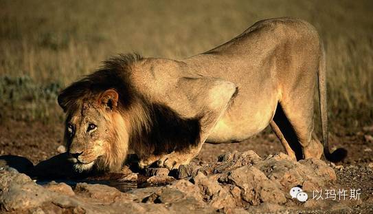 插画本《天路历程》- 4