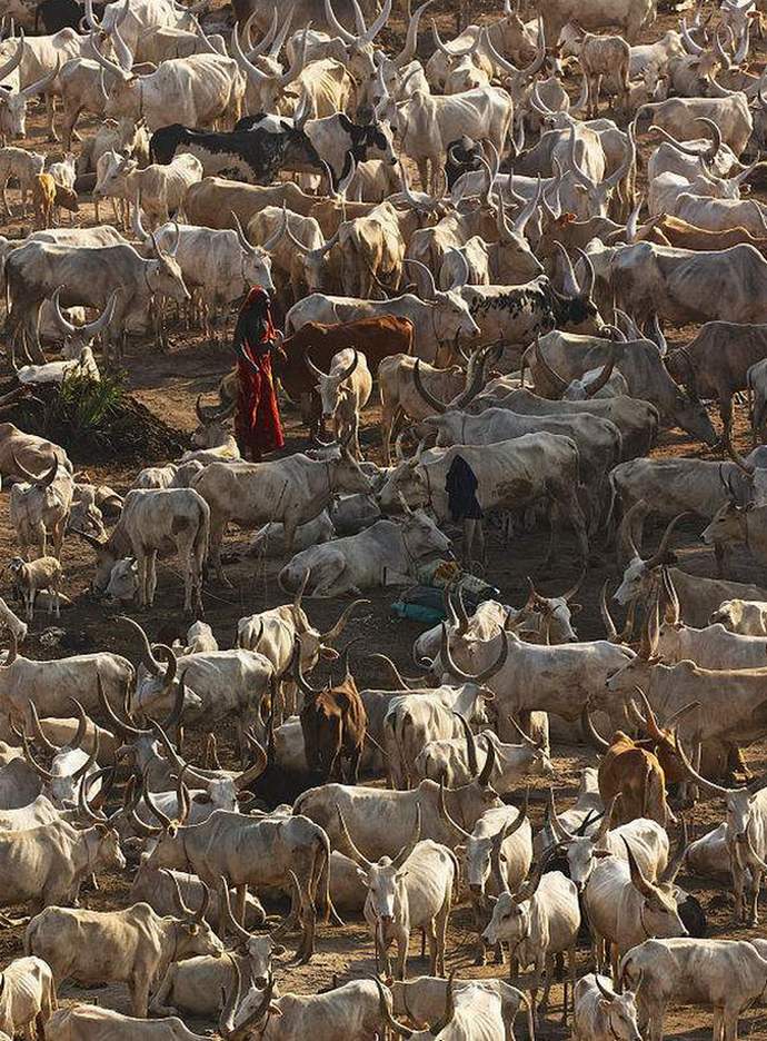 鸟瞰世界205南苏丹