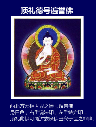 (南无善名称功德佛)顶礼德号遍誉佛(南无德念佛)顶礼德念佛(南无财