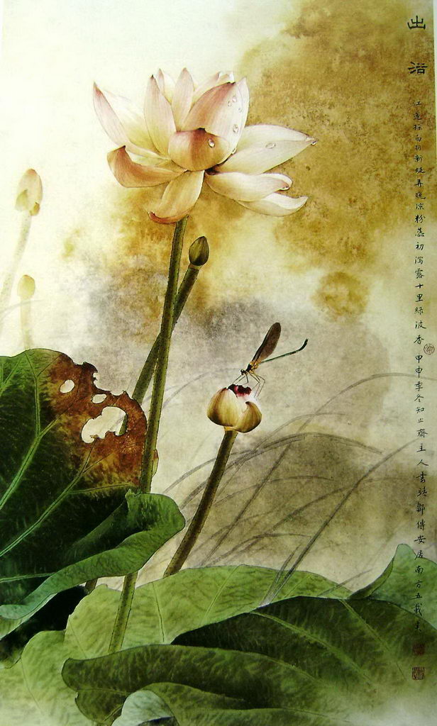 中国工笔花鸟画欣赏二十一工笔荷花1