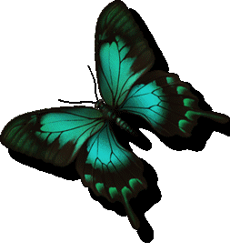 动态蝴蝶小人图片