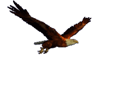 如何用u5软件把静态图变成动态图