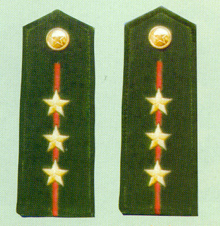 武警上尉肩章武警警衔——尉官武警少校为武警正营职警官的主要警衔.