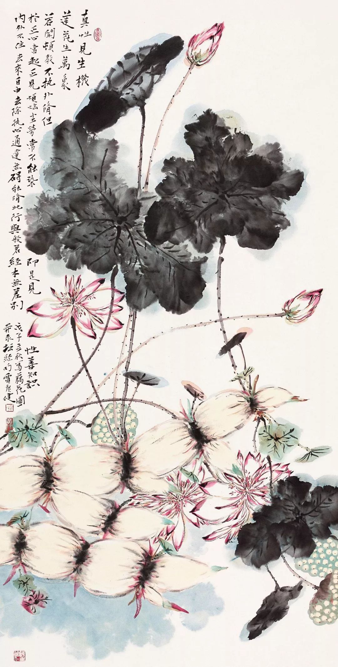 贾广健作品欣赏老师的悉心指教,自己的潜心努力,使得贾广健不仅在工笔