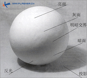 素描三面五调图片