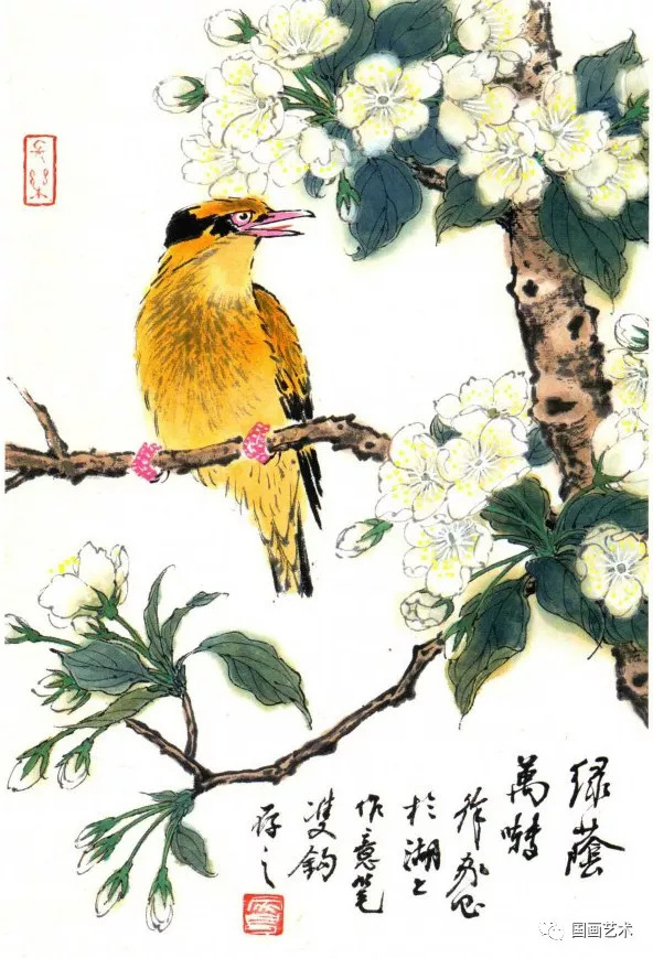 黄鹂 梨花乌鸫 榆树兰鹊 圣树绣眼 向日葵子规 绣球花百灵 野蔷薇腊嘴