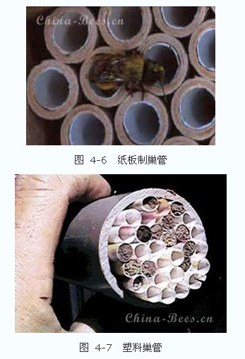 仅一面敞口,其内长为150～250 mm,宽150 mm,高为250 mm的壁蜂巢箱中