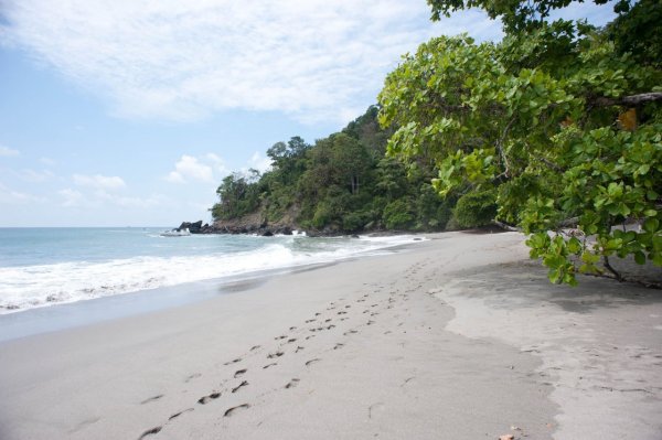 布列克海滩是北美最大的裸体海滩,也因为其能冲浪的大海浪,沿着加州