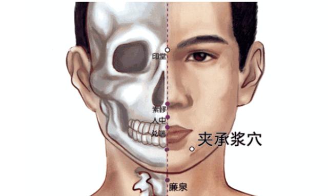 位置:夾承漿位於下頜部,在頦唇溝中點兩旁開1寸處.