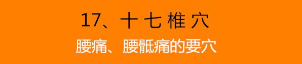 位置:十七椎穴位于腰部,在后正中线上,第5腰椎棘突下;先取找到腰阳关