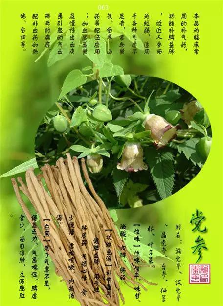 中草药大全史上最全中药图谱300种上