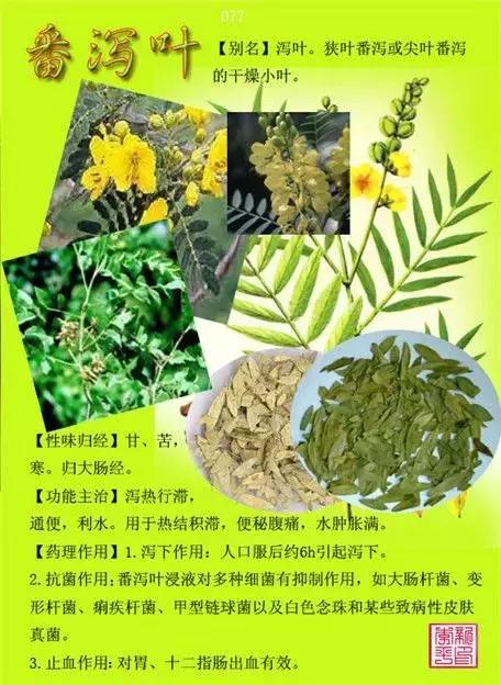 中草药大全史上最全中药图谱300种上