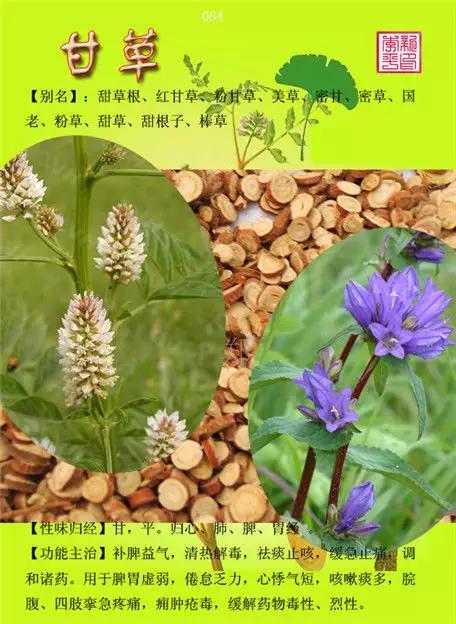 中草药大全史上最全中药图谱300种上