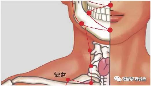 宗筋疗法之十大要穴(附图)