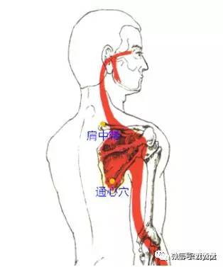 宗筋療法之十大要穴(附圖)