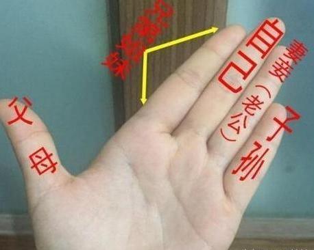 2;大拇指作为最大的手指,在相学中代表了父母,上半节则代表了父亲,下