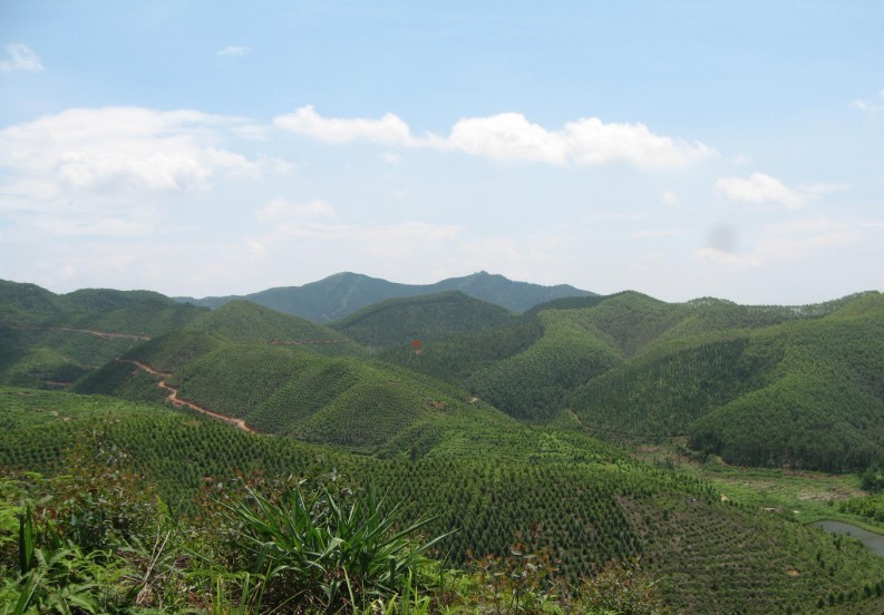 犀牛望月风水山形图图片