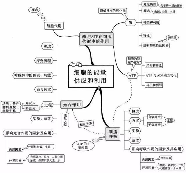 看透高中生物這20張思維導圖生物輕鬆拿高分