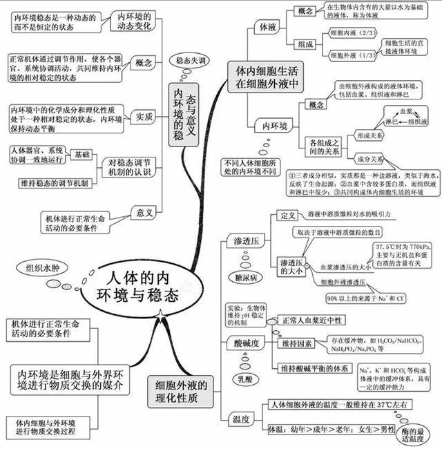 看透高中生物這20張思維導圖生物輕鬆拿高分