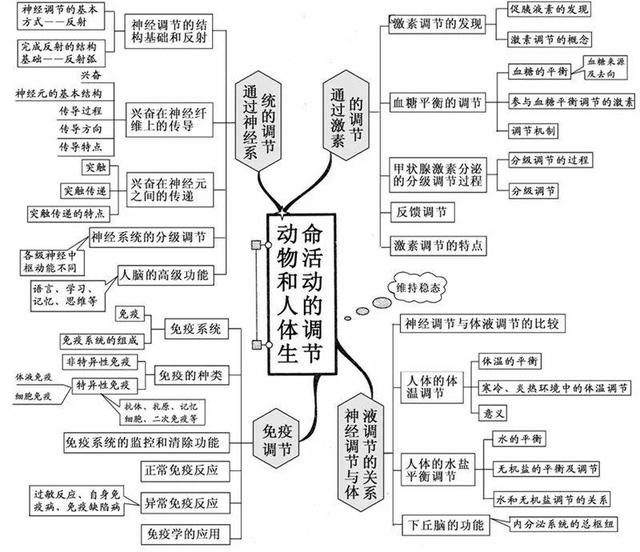 聲明 本文素材來源於網絡,版權歸相關權利人所有,由高中生學習編輯