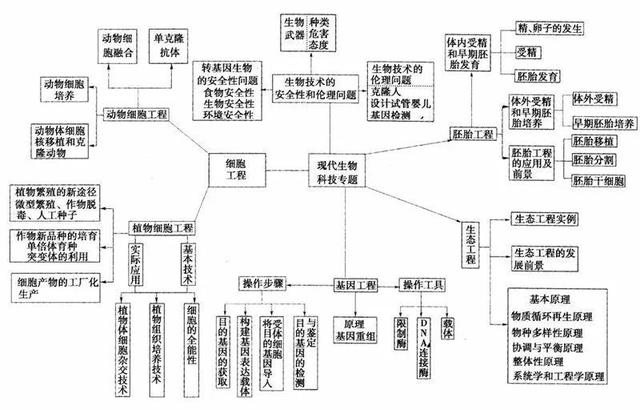 1,光合作用計算題:淨光合作用和實際光合作用2,減數分裂過程3,遺傳