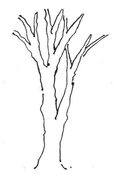 树干的线描画图片