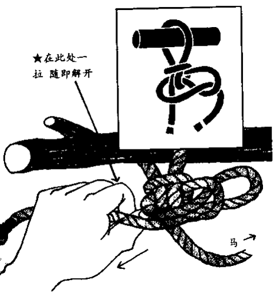 几百种实用绳结的打法好好收藏啦