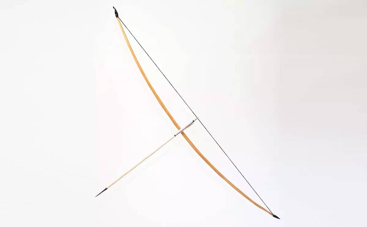 『材料的秘密-9』硬木篇:对张力最好的诠释-紫杉木(yew)