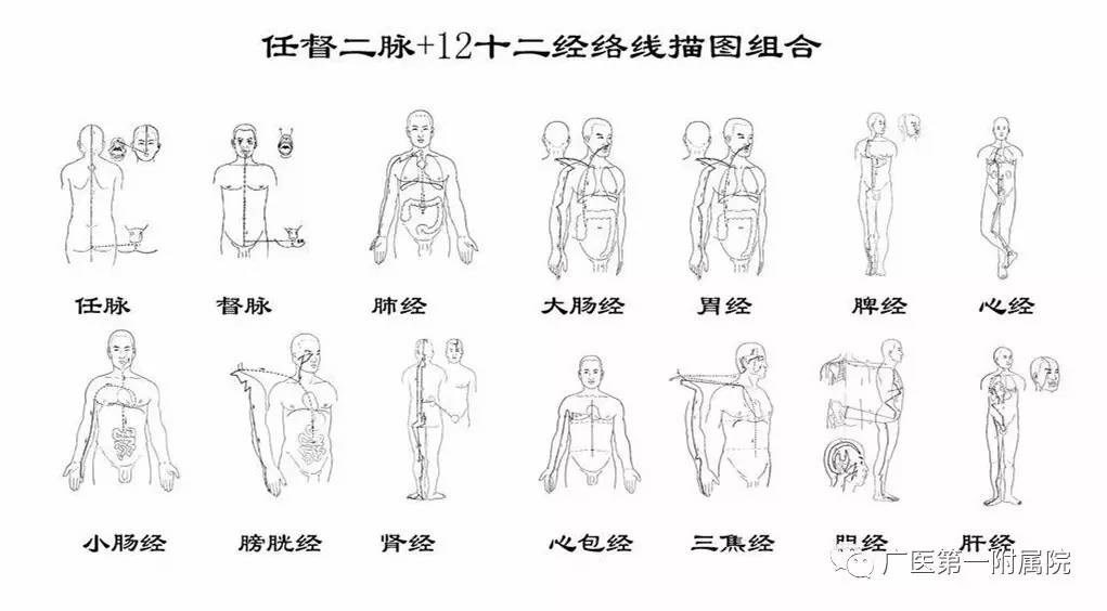 十四经络穴位详解学习必备珍藏版