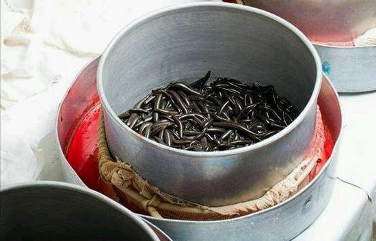 苗疆巫蛊丨苗寨整蛊人揭秘什么是蛊毒怎么下蛊