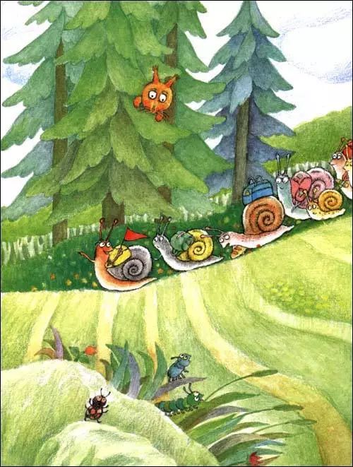 小动物看图写话蜗牛的快乐生活