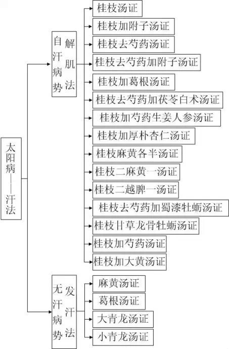 六经辨证治法图解