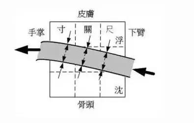 超全的脉诊知识附详细图解